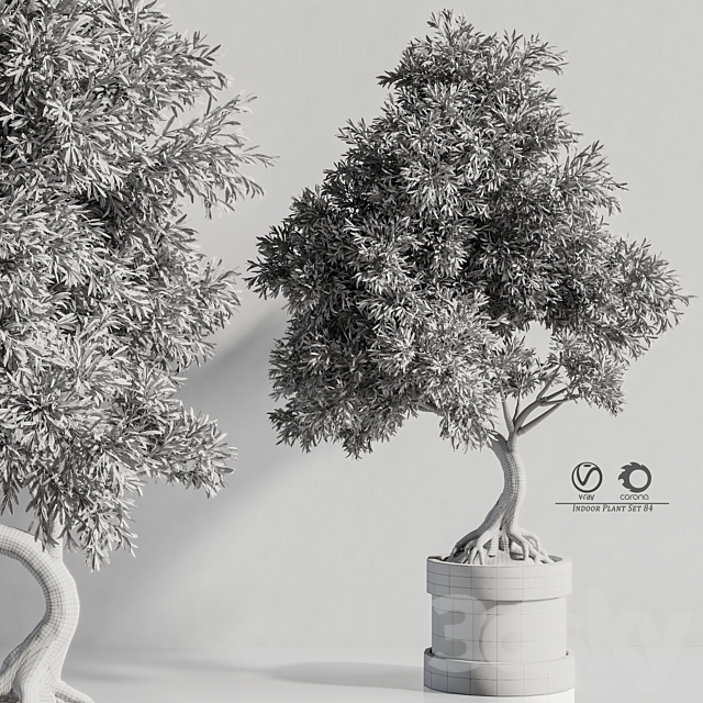 plant_bonsai_07 3DS Max Model - thumbnail 5