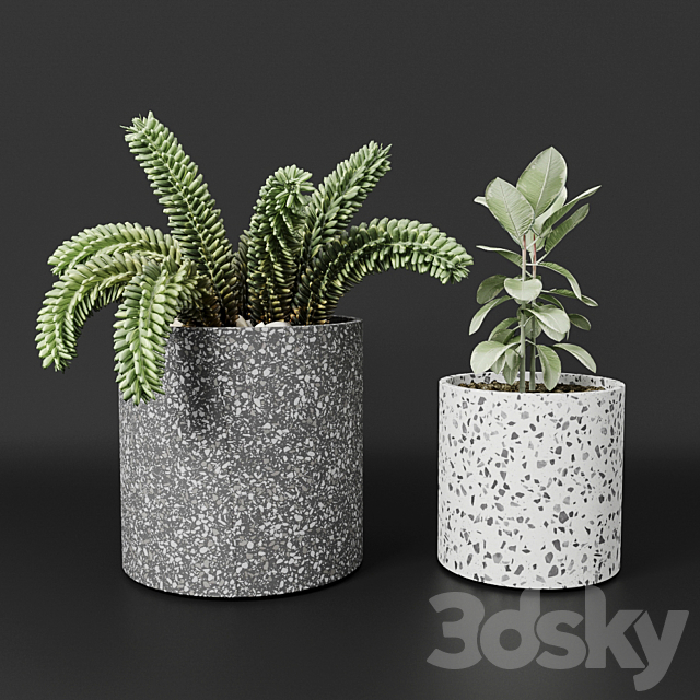 Planter pot Bransc pots 3DSMax File - thumbnail 1