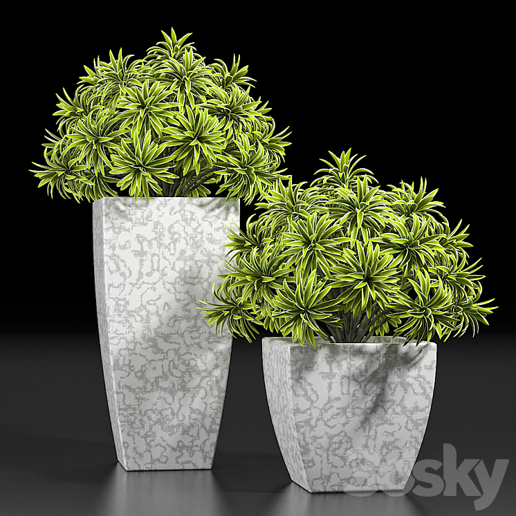 PLANTS 10 3DS Max - thumbnail 2