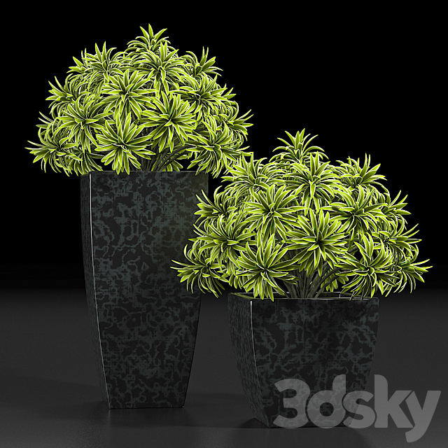 PLANTS 10 3DSMax File - thumbnail 3