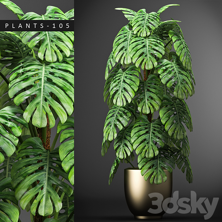 PLANTS 105 3DS Max - thumbnail 1