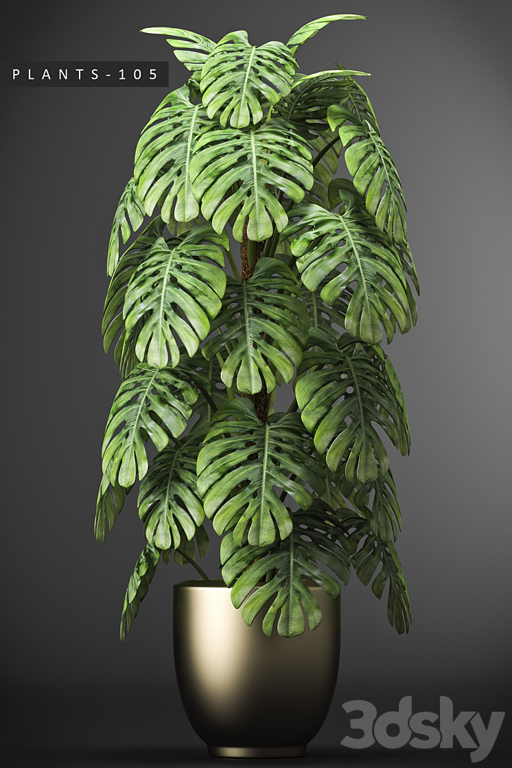 PLANTS 105 3DS Max - thumbnail 2