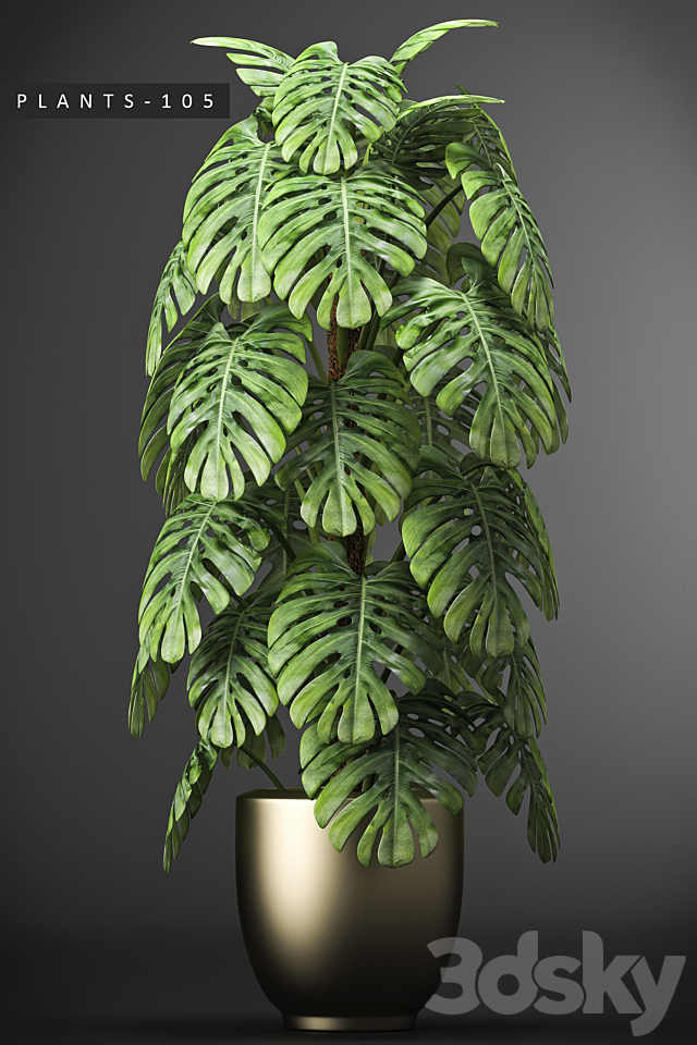 PLANTS 105 3DSMax File - thumbnail 2