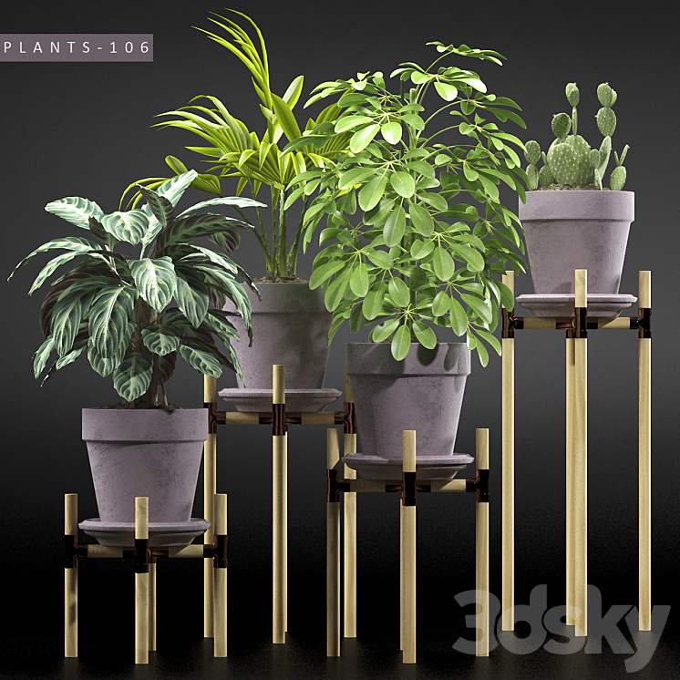 PLANTS 106 3DS Max - thumbnail 1