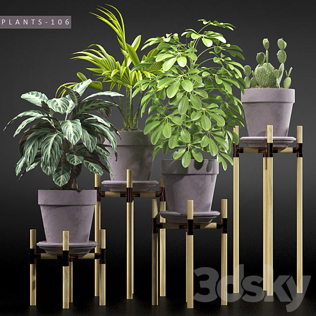 PLANTS 106 3DSMax File - thumbnail 1