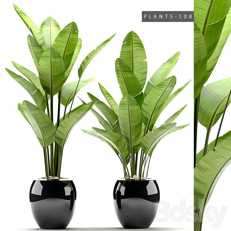 PLANTS 108 3DS Max - thumbnail 1