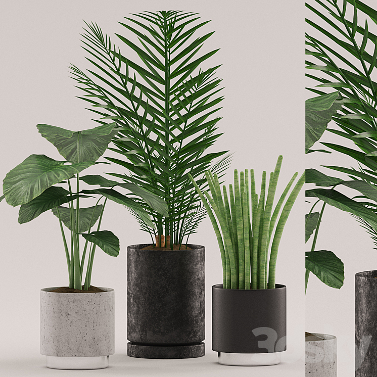 Plants 108 3DS Max - thumbnail 1