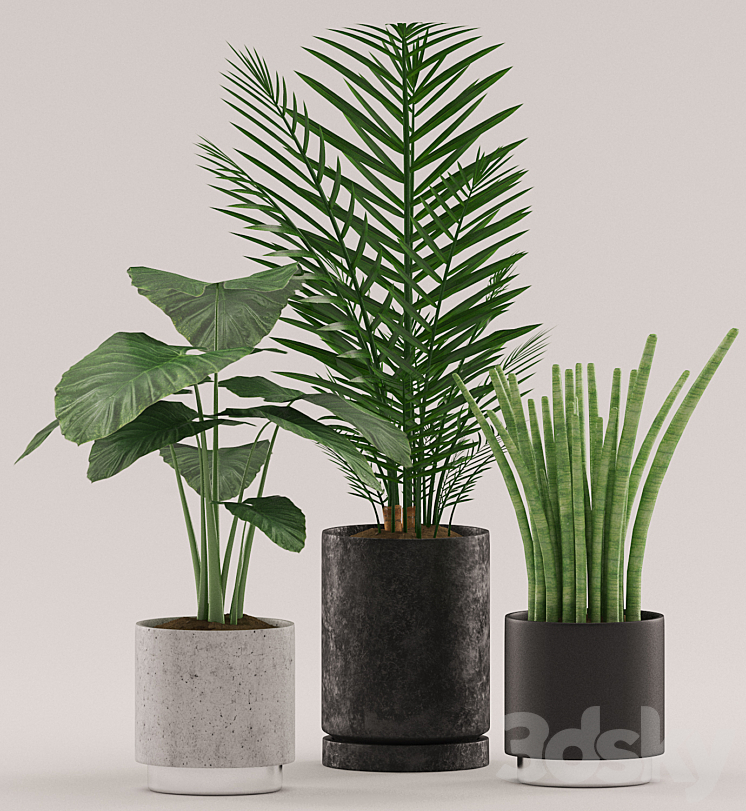 Plants 108 3DS Max - thumbnail 2