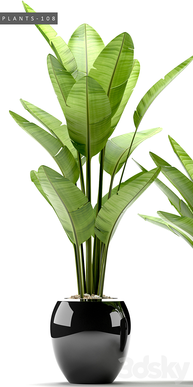 PLANTS 108 3DSMax File - thumbnail 3