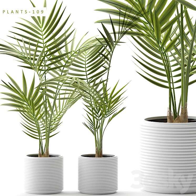 Plants 109 3DS Max - thumbnail 1