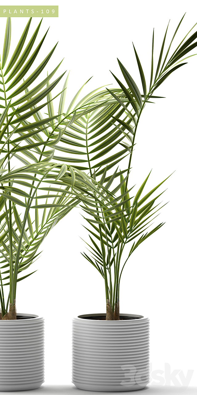 Plants 109 3DSMax File - thumbnail 2