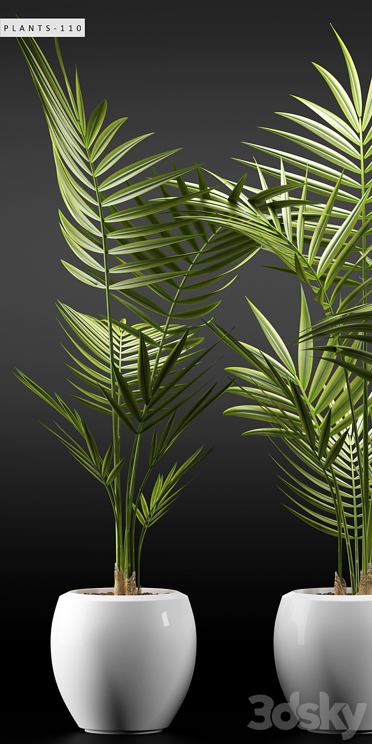 PLANTS 110 3DS Max - thumbnail 2