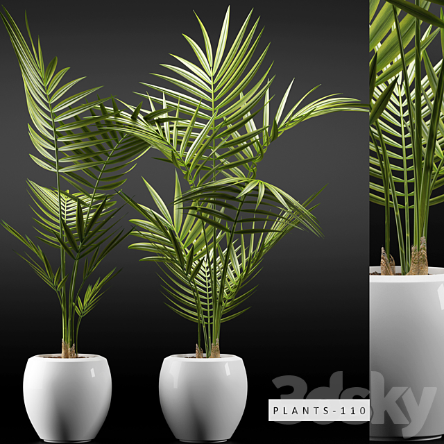 PLANTS 110 3DSMax File - thumbnail 1