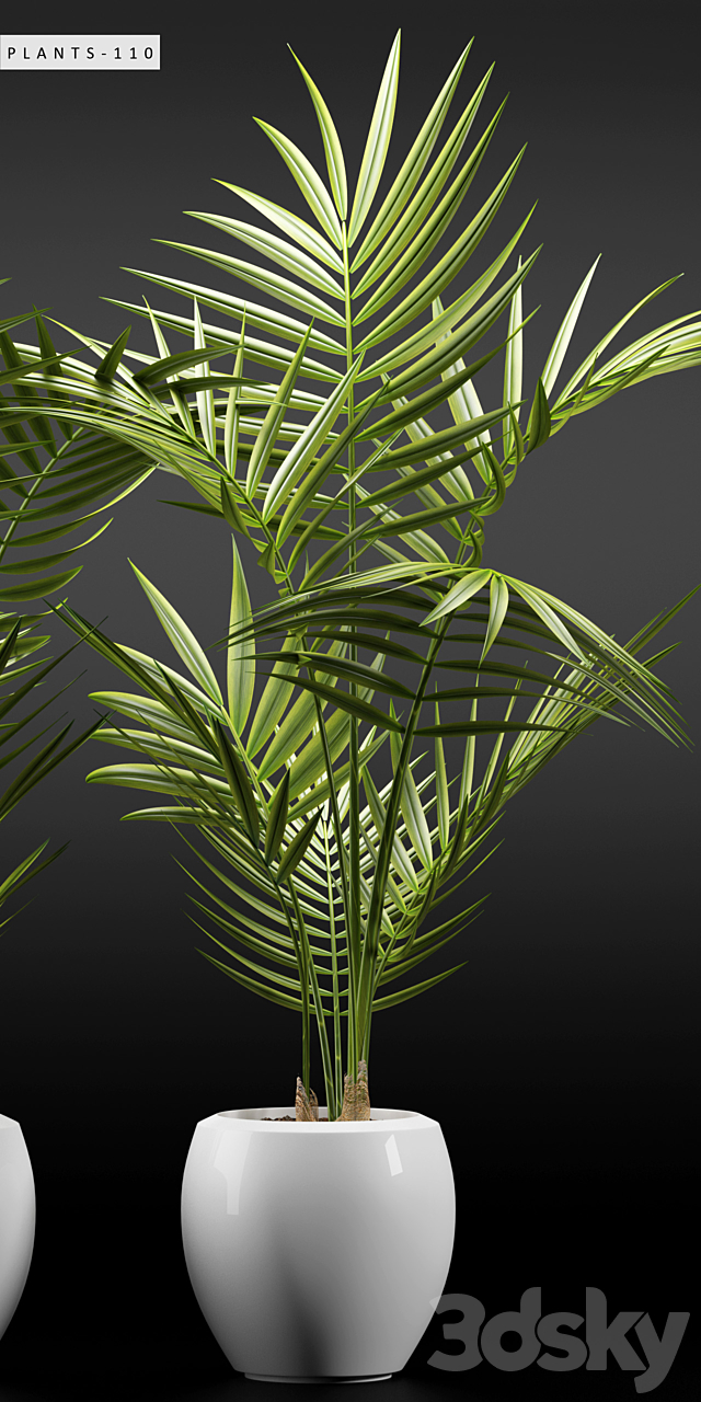 PLANTS 110 3DSMax File - thumbnail 3