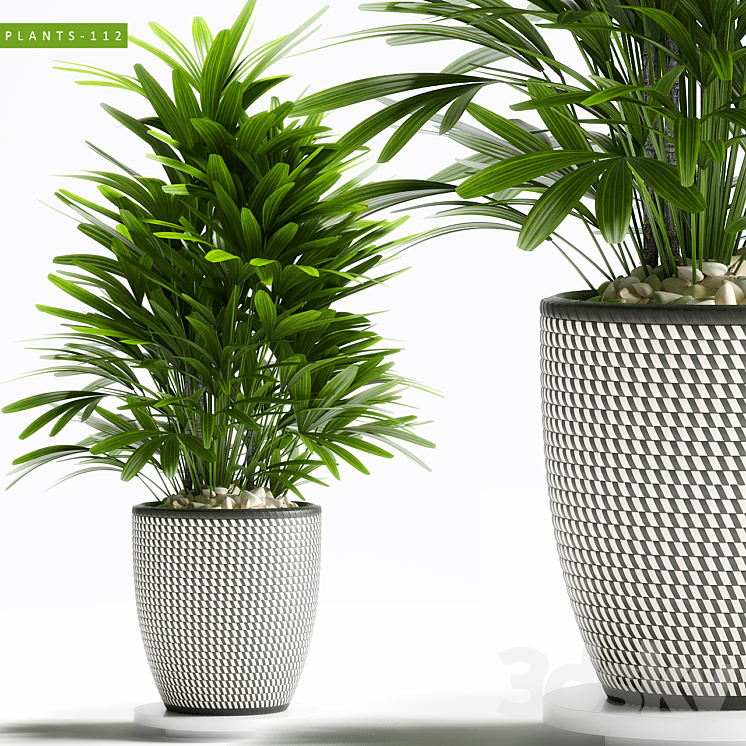 PLANTS 112 3DS Max - thumbnail 1