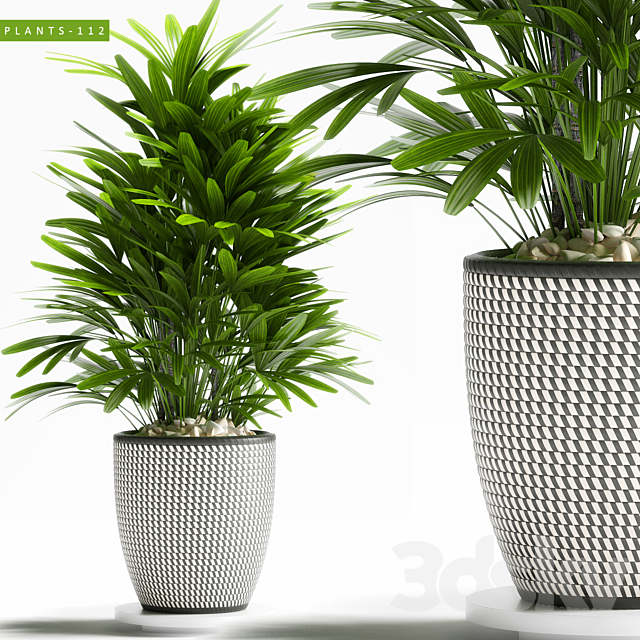 PLANTS 112 3DSMax File - thumbnail 1