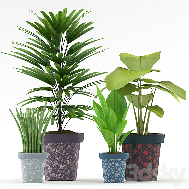 Plants 114 3DS Max - thumbnail 2