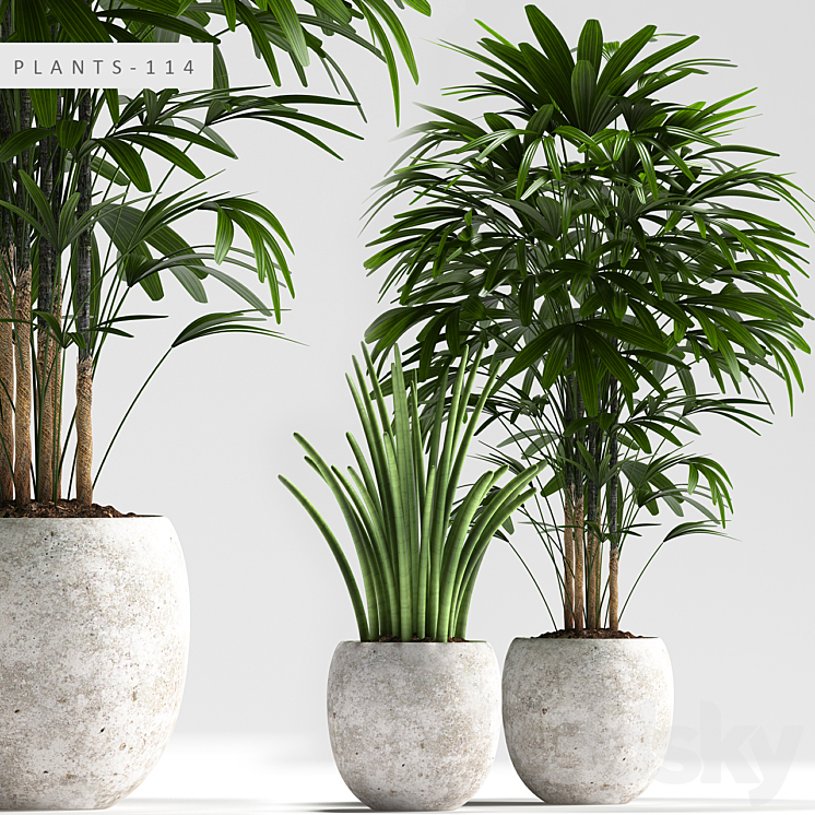 PLANTS 114 3DS Max - thumbnail 1