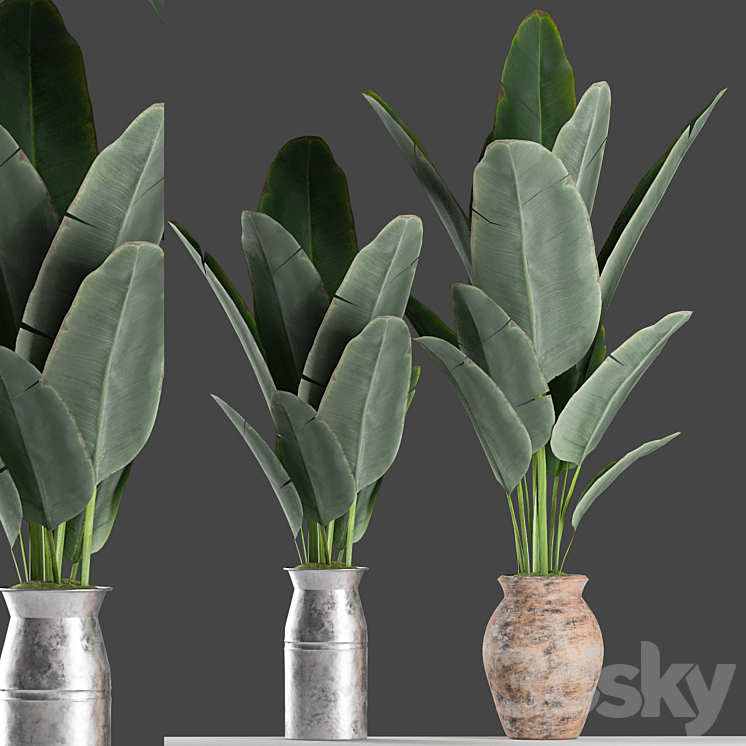 Plants 122 3DS Max - thumbnail 1