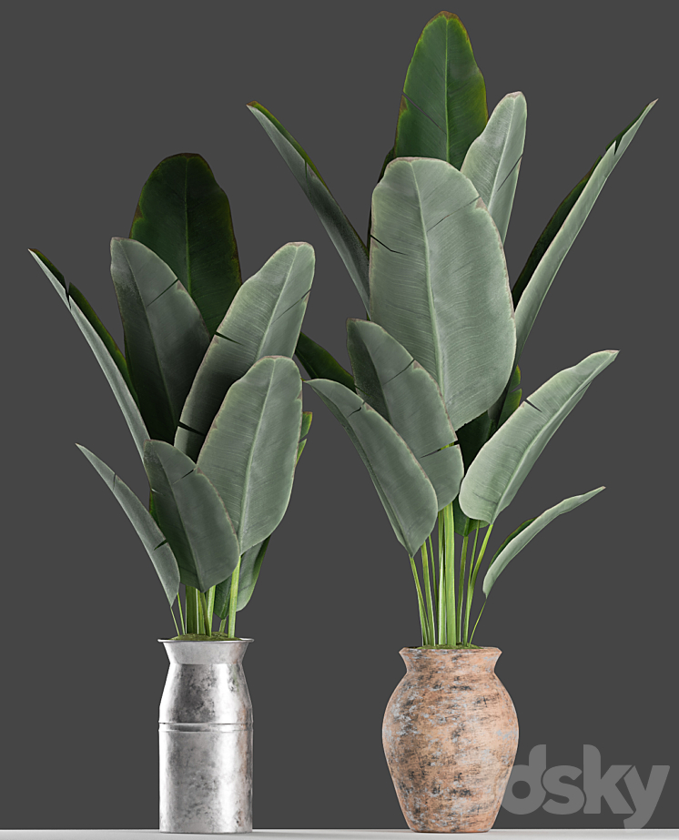 Plants 122 3DS Max - thumbnail 2