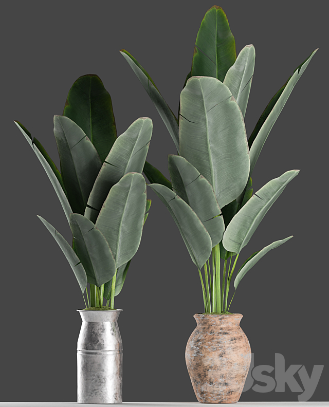 Plants 122 3DSMax File - thumbnail 2