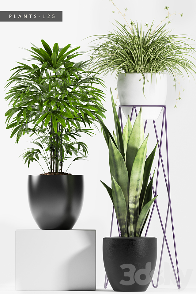 PLANTS 125 3DS Max Model - thumbnail 2