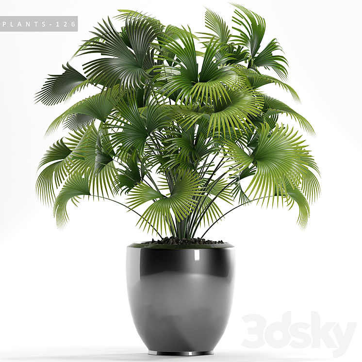 PLANTS 126 3DS Max - thumbnail 1