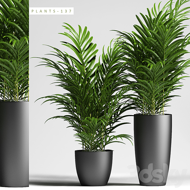 PLANTS 137 3DS Max - thumbnail 1