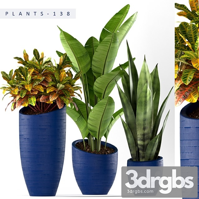 Plants 138 - thumbnail 1