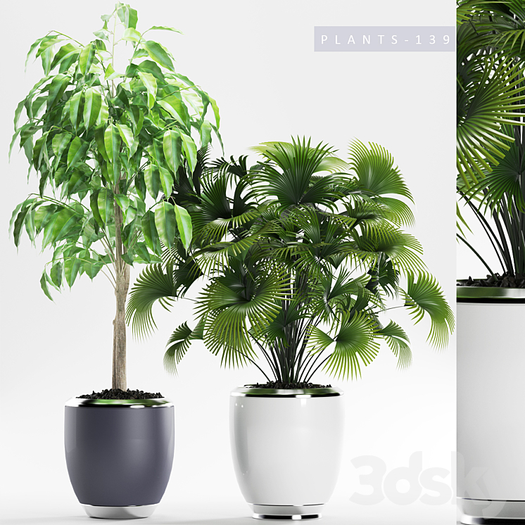 PLANTS 139 3DS Max - thumbnail 1