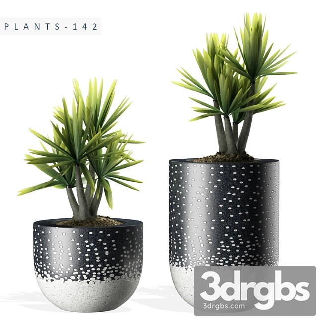 Plants 142 - thumbnail 1