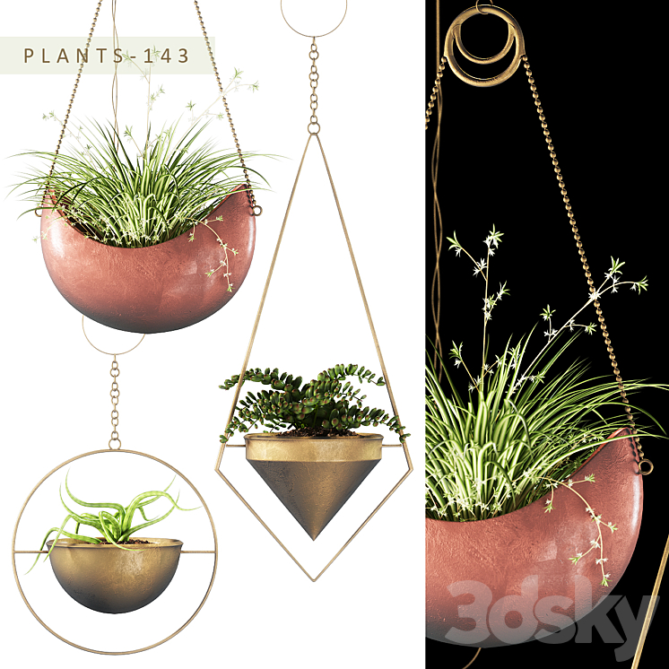 PLANTS 143 3DS Max - thumbnail 1