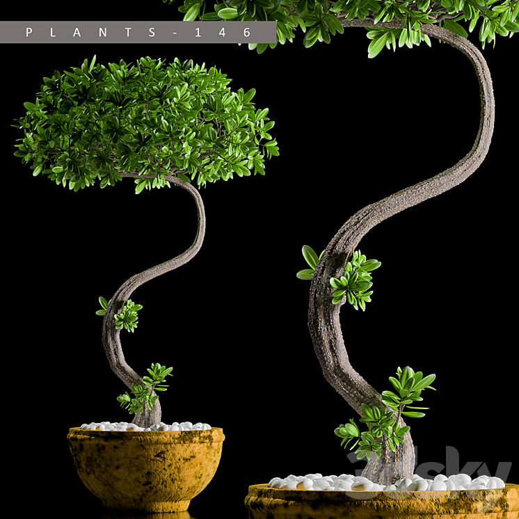 PLANTS 146 3DS Max - thumbnail 1