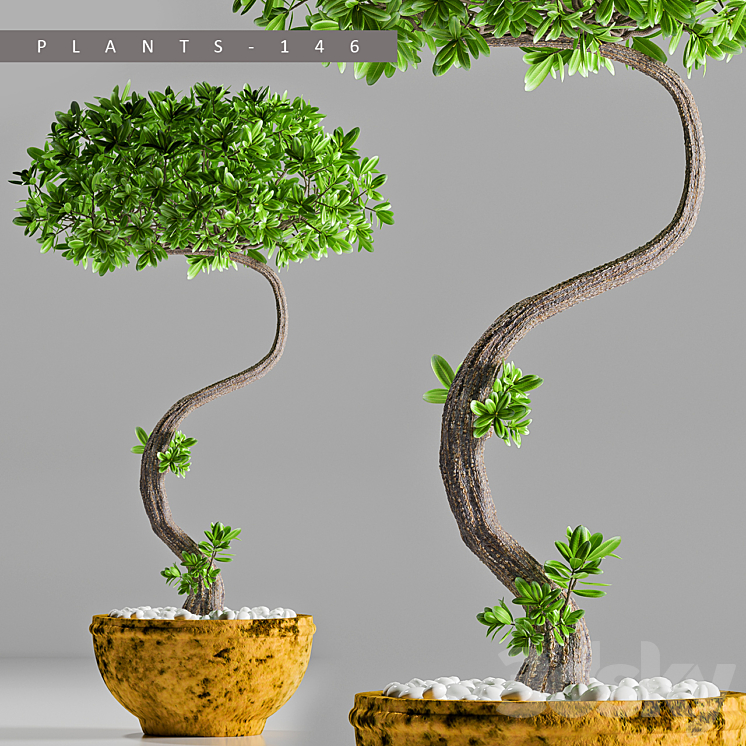 PLANTS 146 3DS Max - thumbnail 2