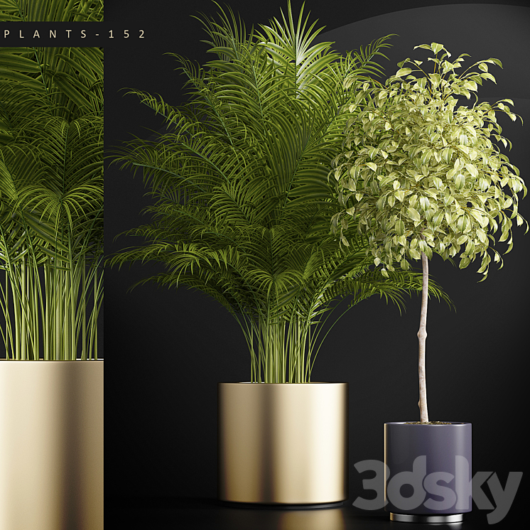 PLANTS 152 3DS Max - thumbnail 1