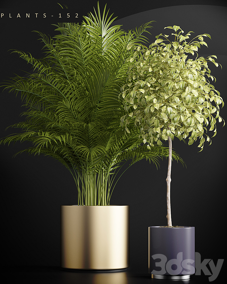 PLANTS 152 3DS Max - thumbnail 2