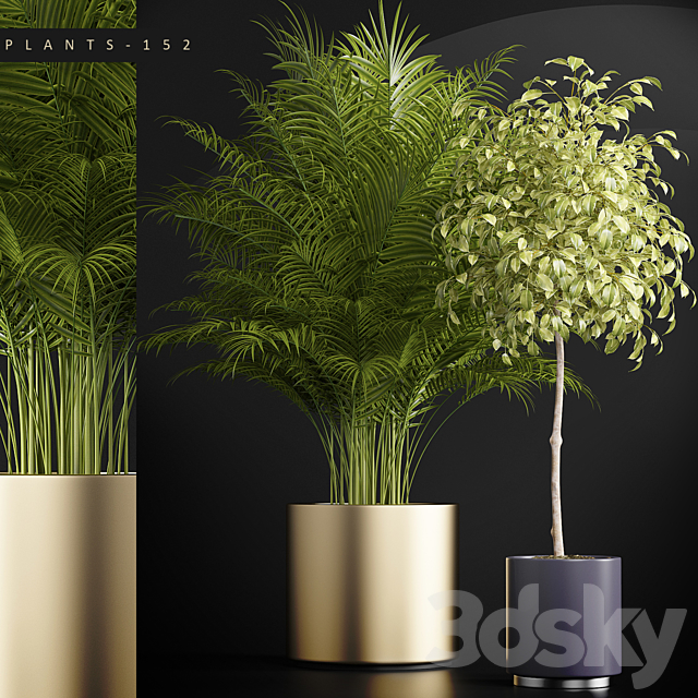 PLANTS 152 3DSMax File - thumbnail 1