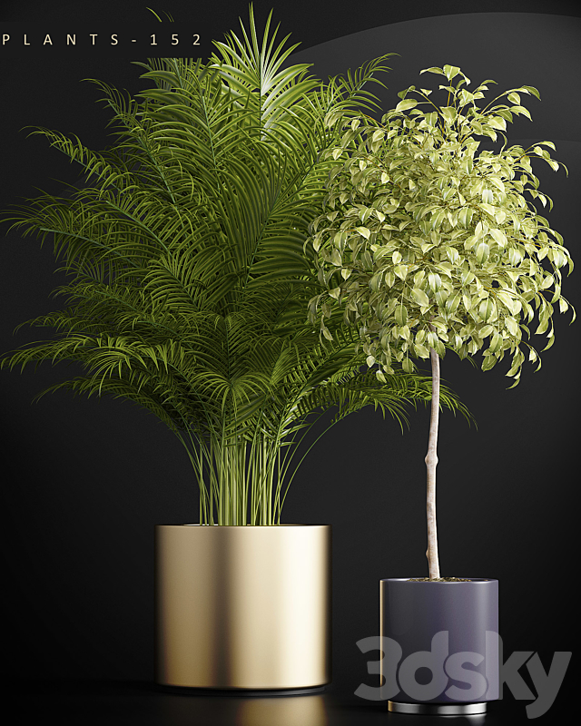 PLANTS 152 3DSMax File - thumbnail 2