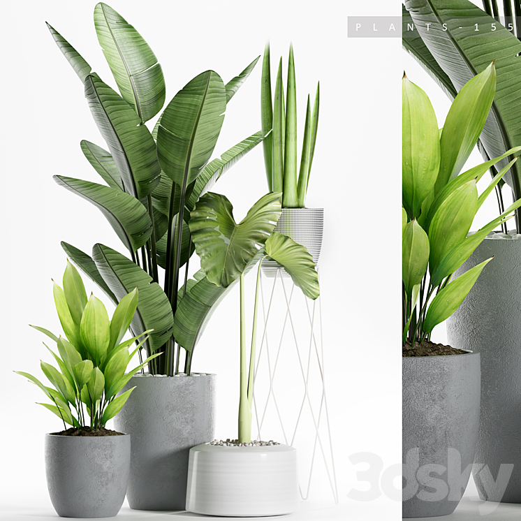 PLANTS 155 3DS Max - thumbnail 1