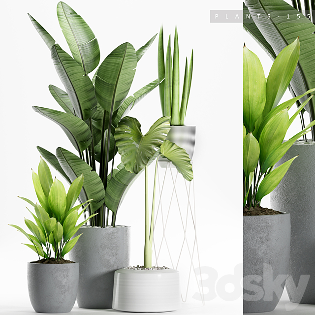 PLANTS 155 3DSMax File - thumbnail 1