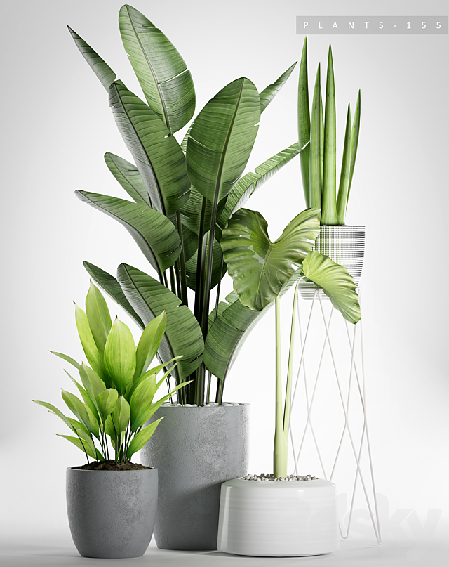 PLANTS 155 3DSMax File - thumbnail 2