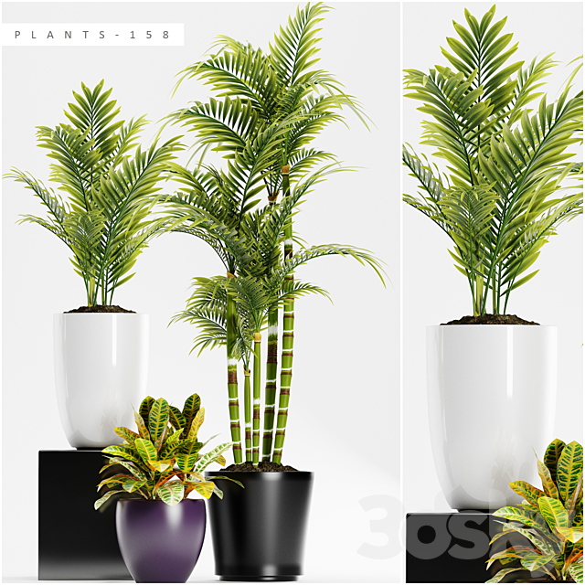 PLANTS 158 3DSMax File - thumbnail 1