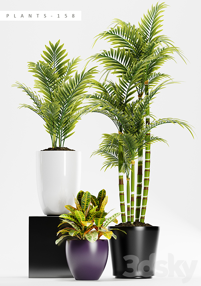 PLANTS 158 3DSMax File - thumbnail 2