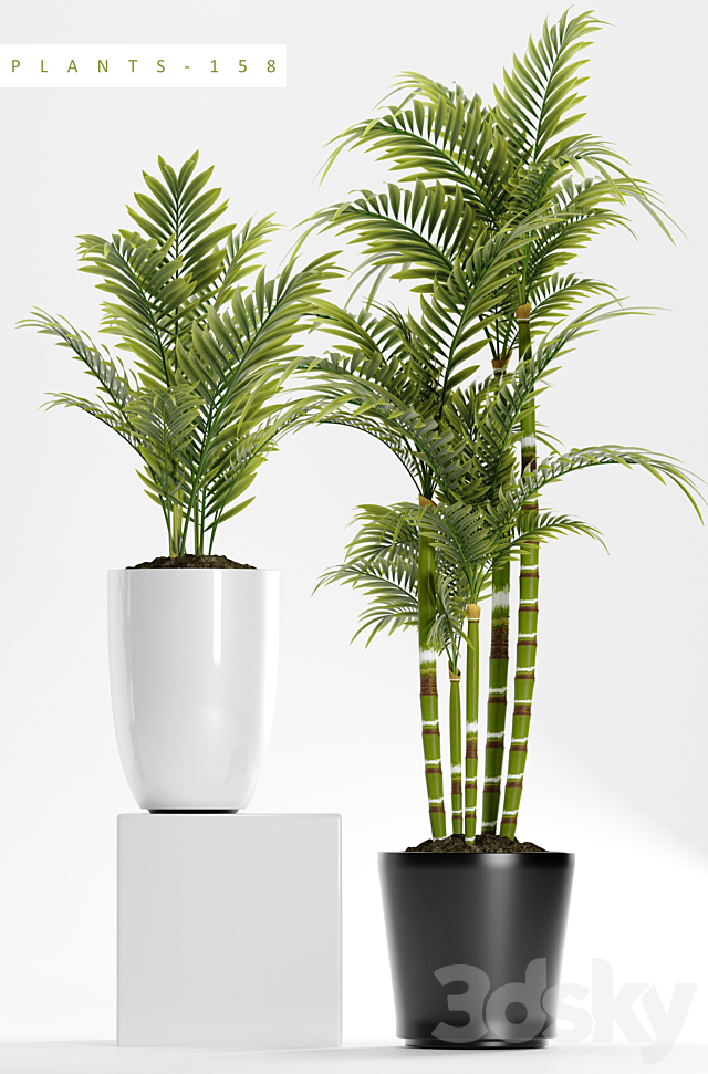 PLANTS 158 3DSMax File - thumbnail 3