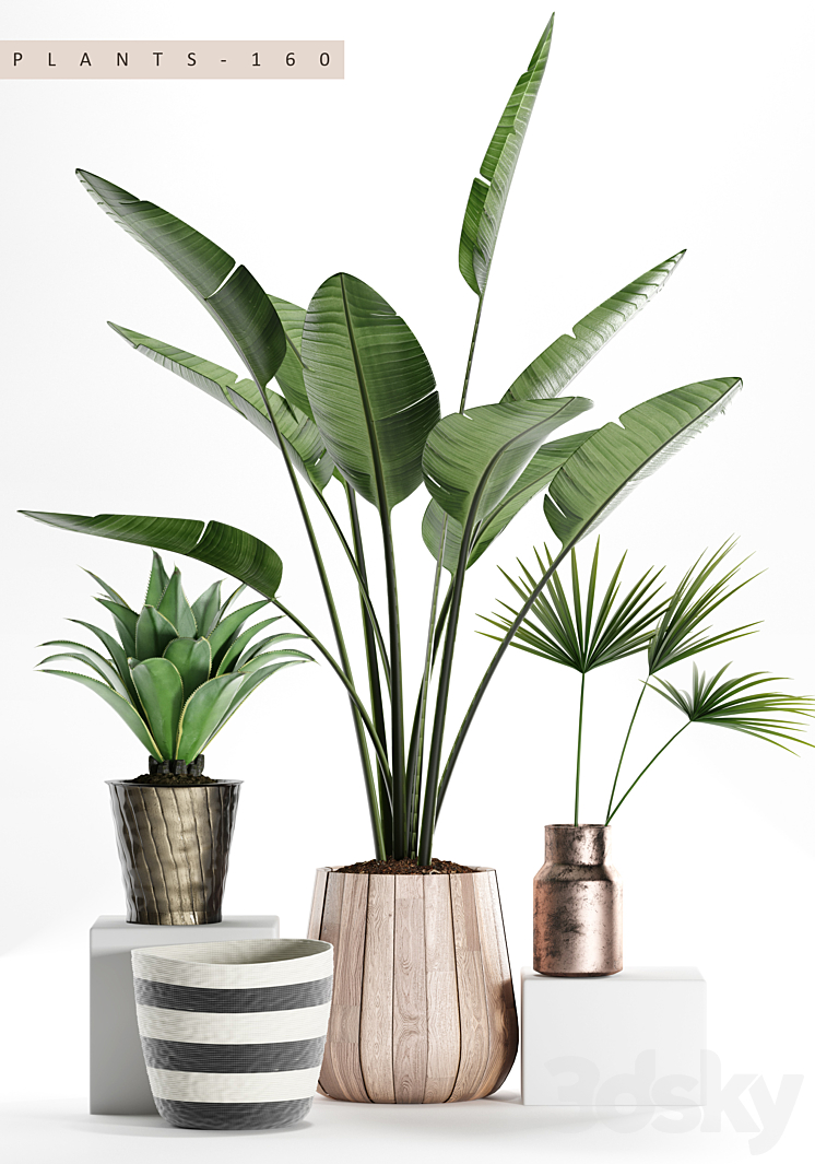 PLANTS 160 3DS Max - thumbnail 2