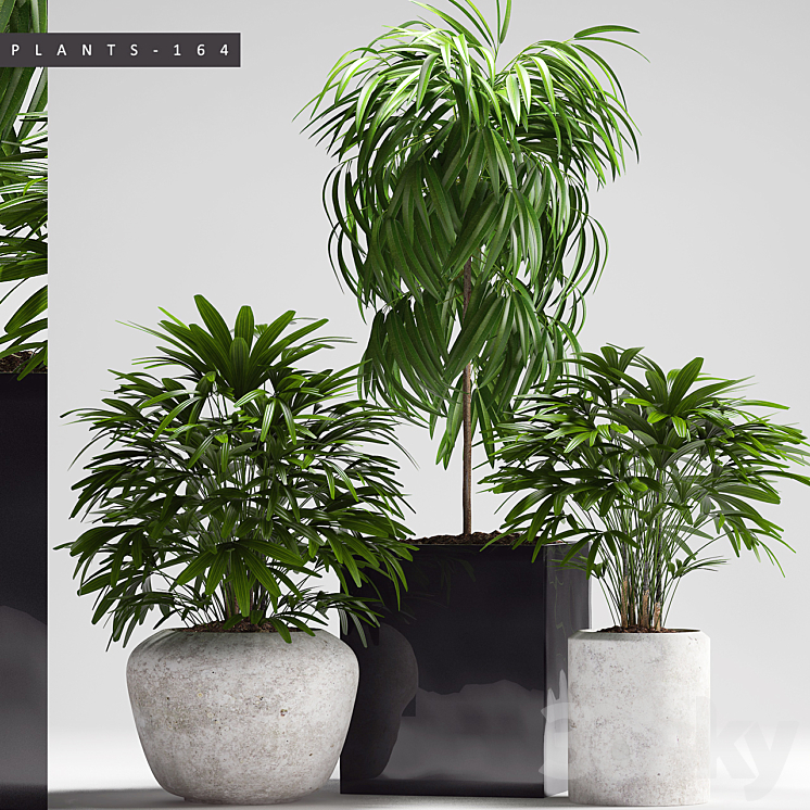 PLANTS 164 3DS Max - thumbnail 1