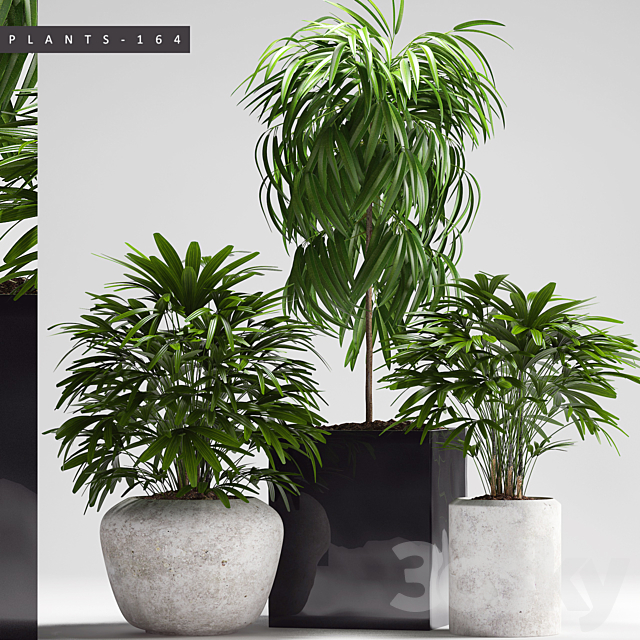 PLANTS 164 3DSMax File - thumbnail 1