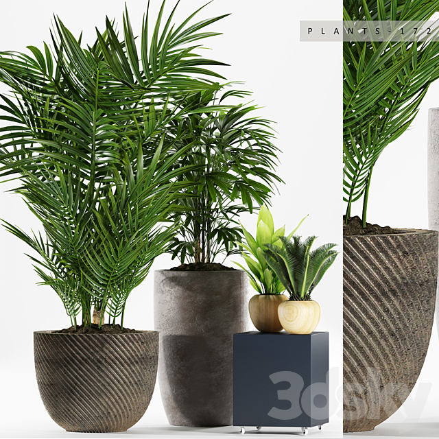 PLANTS 172 3DSMax File - thumbnail 1