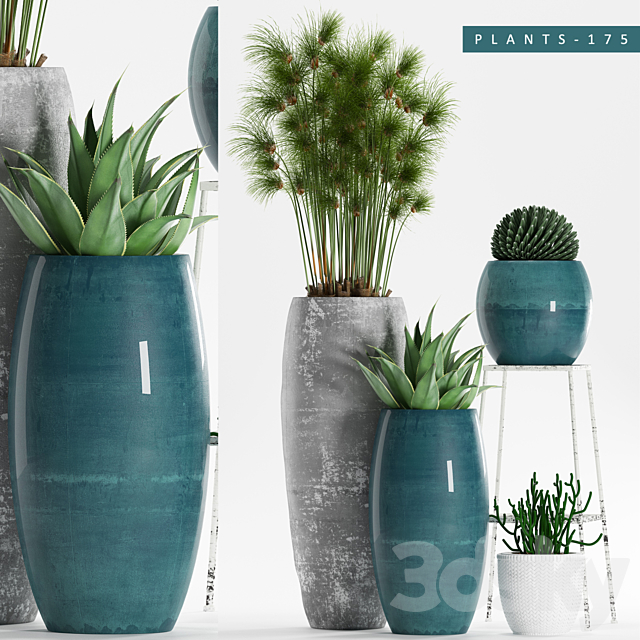 PLANTS 175 3DSMax File - thumbnail 1