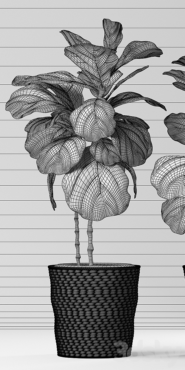 PLANTS 178 3DS Max Model - thumbnail 2